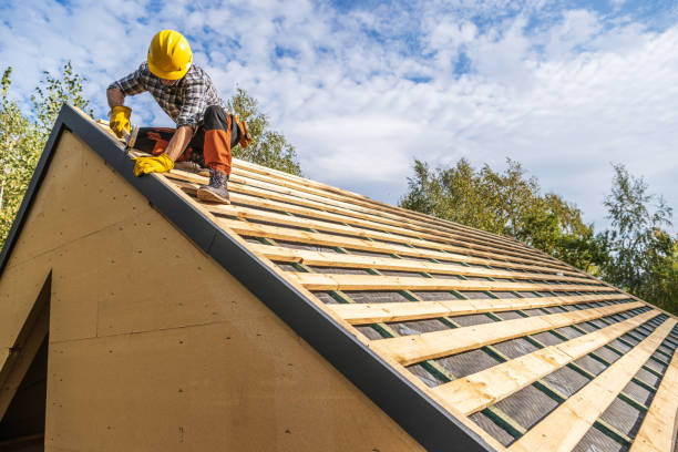 Best Roof Gutter Cleaning  in Richnd, MO