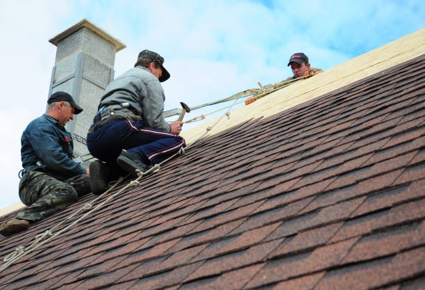 Best Roof Maintenance Services  in Richnd, MO